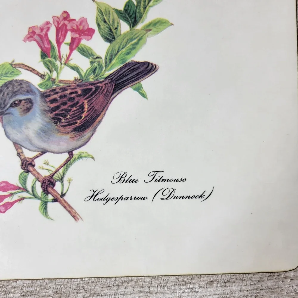 VTG Lady Clare Bird Luncheon Placemats Set 4 Felt Back England Warbler Bunting